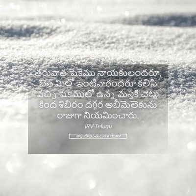 Picture 05 - న్యాయాధిపతులు 9:6 TELIRV - తరువాత షెకెము - Bible Verse Picture