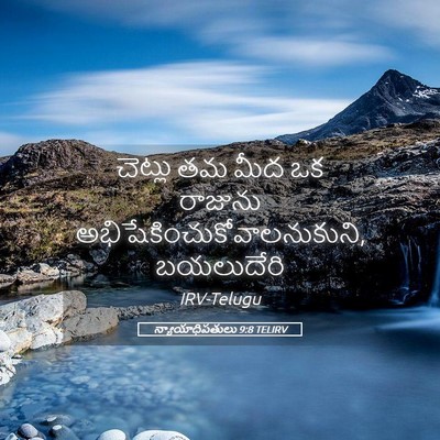 Picture 05 - న్యాయాధిపతులు 9:8 TELIRV - చెట్లు తమ మీద ఒక - Bible Verse Picture