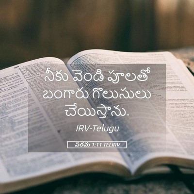 Picture 05 - పరమ 1:11 TELIRV - నీకు వెండి పూలతో - Bible Verse Picture