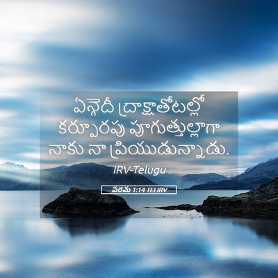 Picture 05 - పరమ 1:14 TELIRV - ఏన్గెదీ - Bible Verse Picture