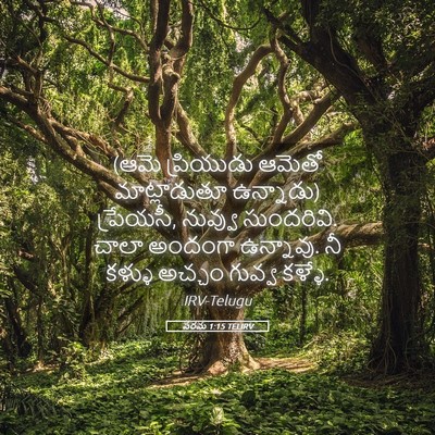 Picture 05 - పరమ 1:15 TELIRV - (ఆమె ప్రియుడు - Bible Verse Picture