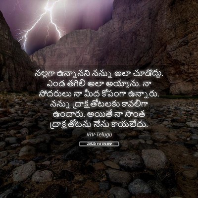 Picture 05 - పరమ 1:6 TELIRV - నల్లగా ఉన్నానని - Bible Verse Picture
