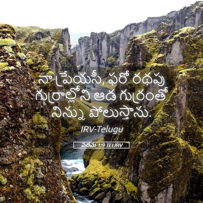Picture 05 - పరమ 1:9 TELIRV - నా ప్రేయసీ, ఫరో - Bible Verse Picture