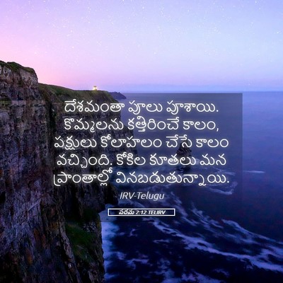 Picture 05 - పరమ 2:12 TELIRV - దేశమంతా పూలు - Bible Verse Picture