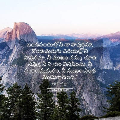 Picture 05 - పరమ 2:14 TELIRV - బండసందుల్లోని నా - Bible Verse Picture