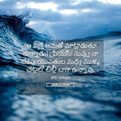 Picture 05 - పరమ 2:2 TELIRV - (ఆ వ్యక్తి ఆమెతో - Bible Verse Picture
