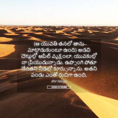 Picture 05 - పరమ 2:3 TELIRV - (ఆ యువతి తనలో తాను - Bible Verse Picture