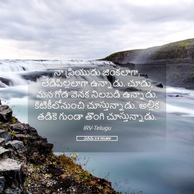 Picture 05 - పరమ 2:9 TELIRV - నా ప్రియుడు - Bible Verse Picture