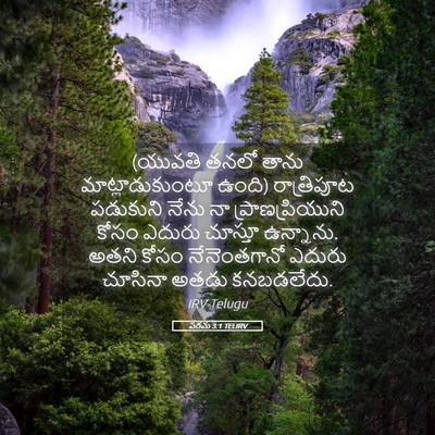 Picture 05 - పరమ 3:1 TELIRV - (యువతి తనలో తాను - Bible Verse Picture