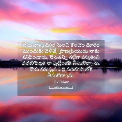 Picture 05 - పరమ 3:4 TELIRV - నేను వాళ్ళ దగ్గర - Bible Verse Picture