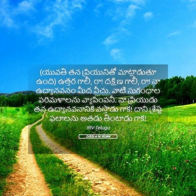 Picture 05 - పరమ 4:16 TELIRV - (యువతి తన - Bible Verse Picture