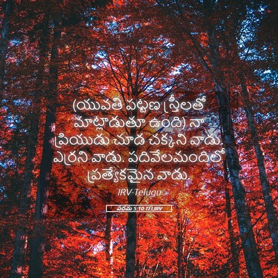 Picture 05 - పరమ 5:10 TELIRV - (యువతి పట్టణ - Bible Verse Picture