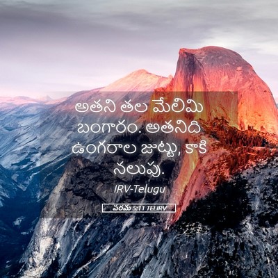 Picture 05 - పరమ 5:11 TELIRV - అతని తల మేలిమి - Bible Verse Picture