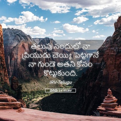 Picture 05 - పరమ 5:4 TELIRV - తలుపు సందులో నా - Bible Verse Picture