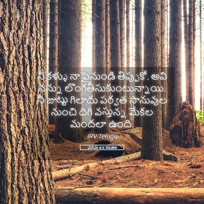 Picture 05 - పరమ 6:5 TELIRV - నీ కళ్ళు - Bible Verse Picture