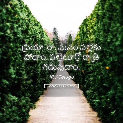 Picture 05 - పరమ 7:11 TELIRV - ప్రియా, రా. మనం - Bible Verse Picture