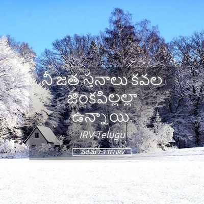 Picture 05 - పరమ 7:3 TELIRV - నీ జత స్తనాలు కవల - Bible Verse Picture