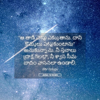 Picture 05 - పరమ 7:8 TELIRV - “ఆ తాడి చెట్టు - Bible Verse Picture