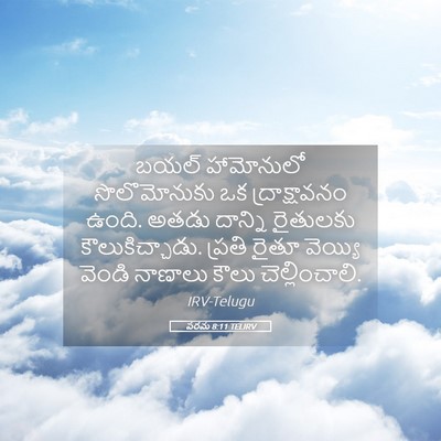 Picture 05 - పరమ 8:11 TELIRV - బయల్ హామోనులో - Bible Verse Picture