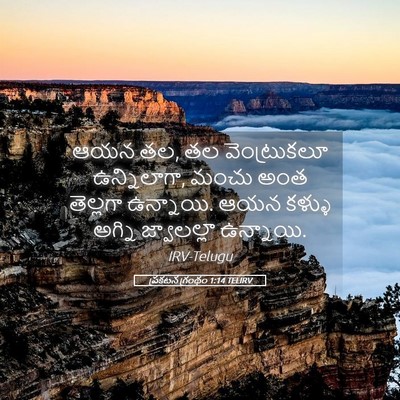 Picture 05 - ప్రకటన గ్రంథం 1:14 TELIRV - ఆయన తల, తల - Bible Verse Picture