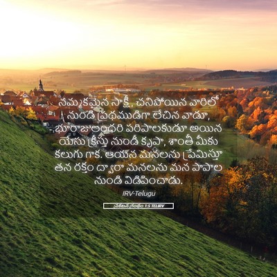 Picture 05 - ప్రకటన గ్రంథం 1:5 TELIRV - నమ్మకమైన సాక్షీ, - Bible Verse Picture
