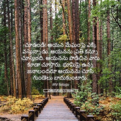 Picture 05 - ప్రకటన గ్రంథం 1:7 TELIRV - చూడండి! ఆయన మేఘంపై - Bible Verse Picture