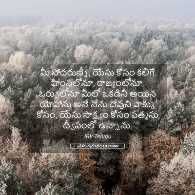 Picture 05 - ప్రకటన గ్రంథం 1:9 TELIRV - మీ సోదరుణ్నీ, యేసు - Bible Verse Picture