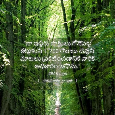 Picture 05 - ప్రకటన గ్రంథం 11:3 TELIRV - “నా ఇద్దరు - Bible Verse Picture