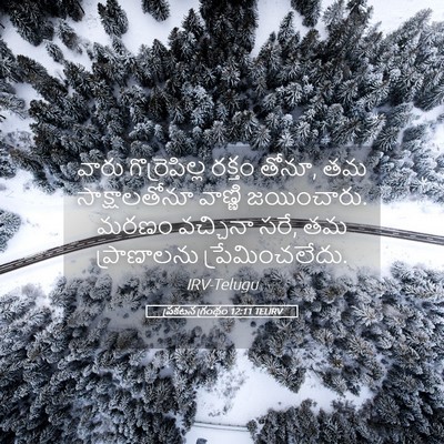 Picture 05 - ప్రకటన గ్రంథం 12:11 TELIRV - వారు గొర్రెపిల్ల - Bible Verse Picture