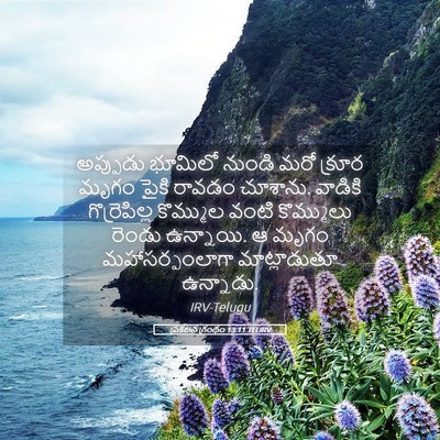 Picture 05 - ప్రకటన గ్రంథం 13:11 TELIRV - అప్పుడు భూమిలో - Bible Verse Picture