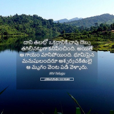 Picture 05 - ప్రకటన గ్రంథం 13:3 TELIRV - దాని తలల్లో - Bible Verse Picture