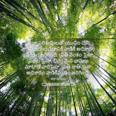 Picture 05 - ప్రకటన గ్రంథం 13:7 TELIRV - ఇంకా పరిశుద్ధులతో - Bible Verse Picture