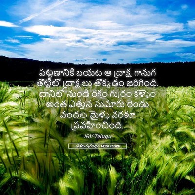 Picture 05 - ప్రకటన గ్రంథం 14:20 TELIRV - పట్టణానికి బయట ఆ - Bible Verse Picture