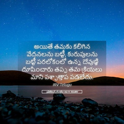 Picture 05 - ప్రకటన గ్రంథం 16:11 TELIRV - అయితే తమకు కలిగిన - Bible Verse Picture