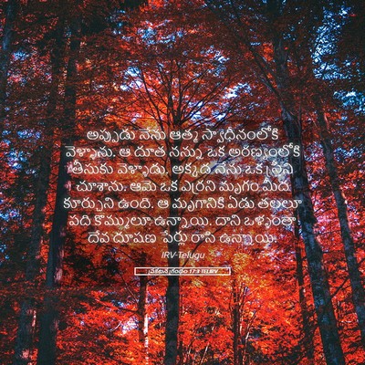 Picture 05 - ప్రకటన గ్రంథం 17:3 TELIRV - అప్పుడు నేను ఆత్మ - Bible Verse Picture