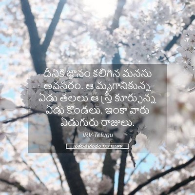 Picture 05 - ప్రకటన గ్రంథం 17:9 TELIRV - దీనికి జ్ఞానం - Bible Verse Picture