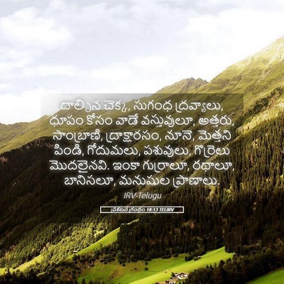 Picture 05 - ప్రకటన గ్రంథం 18:13 TELIRV - దాల్చిన చెక్క, - Bible Verse Picture