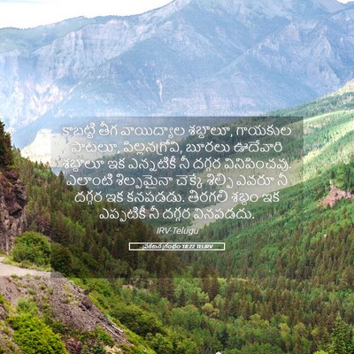 Picture 05 - ప్రకటన గ్రంథం 18:22 TELIRV - కాబట్టి తీగ - Bible Verse Picture