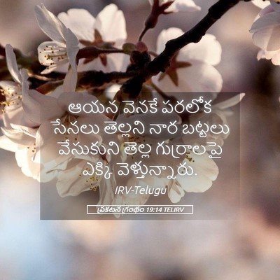 Picture 05 - ప్రకటన గ్రంథం 19:14 TELIRV - ఆయన వెనకే పరలోక - Bible Verse Picture
