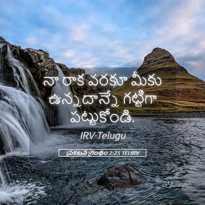 Picture 05 - ప్రకటన గ్రంథం 2:25 TELIRV - నా రాక వరకూ మీకు - Bible Verse Picture