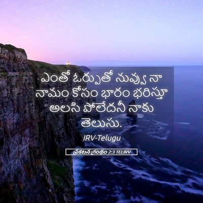 Picture 05 - ప్రకటన గ్రంథం 2:3 TELIRV - ఎంతో ఓర్పుతో - Bible Verse Picture