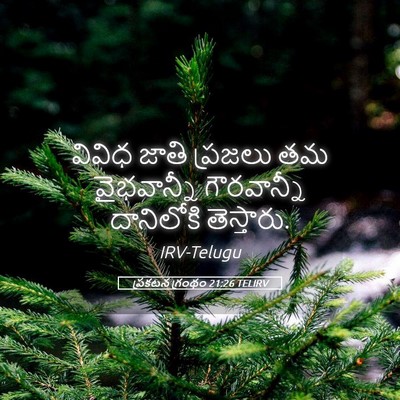 Picture 05 - ప్రకటన గ్రంథం 21:26 TELIRV - వివిధ జాతి ప్రజలు - Bible Verse Picture