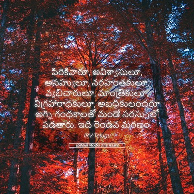 Picture 05 - ప్రకటన గ్రంథం 21:8 TELIRV - పిరికివారూ, - Bible Verse Picture