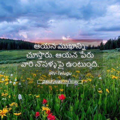 Picture 05 - ప్రకటన గ్రంథం 22:4 TELIRV - ఆయన ముఖాన్ని - Bible Verse Picture