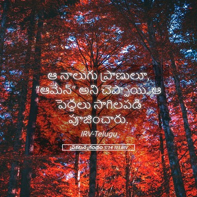 Picture 05 - ప్రకటన గ్రంథం 5:14 TELIRV - ఆ నాలుగు ప్రాణులూ, - Bible Verse Picture