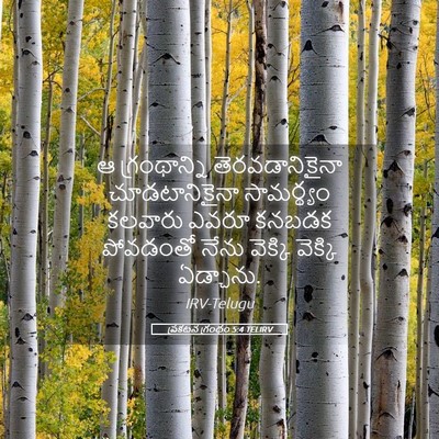 Picture 05 - ప్రకటన గ్రంథం 5:4 TELIRV - ఆ గ్రంథాన్ని - Bible Verse Picture