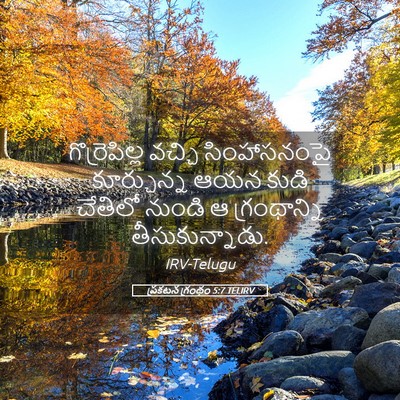 Picture 05 - ప్రకటన గ్రంథం 5:7 TELIRV - గొర్రెపిల్ల వచ్చి - Bible Verse Picture