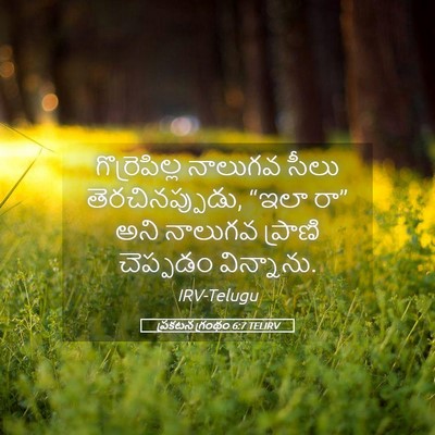 Picture 05 - ప్రకటన గ్రంథం 6:7 TELIRV - గొర్రెపిల్ల - Bible Verse Picture