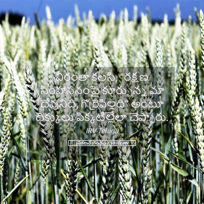 Picture 05 - ప్రకటన గ్రంథం 7:10 TELIRV - వీరంతా కలసి, - Bible Verse Picture