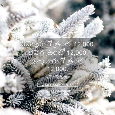 Picture 05 - ప్రకటన గ్రంథం 7:7 TELIRV - షిమ్యోను గోత్రంలో - Bible Verse Picture